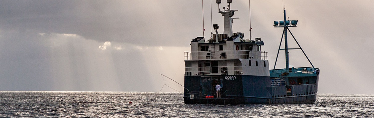 Pioneering OCEARCH Expedition to Pacific Ocean Results in Published Paper