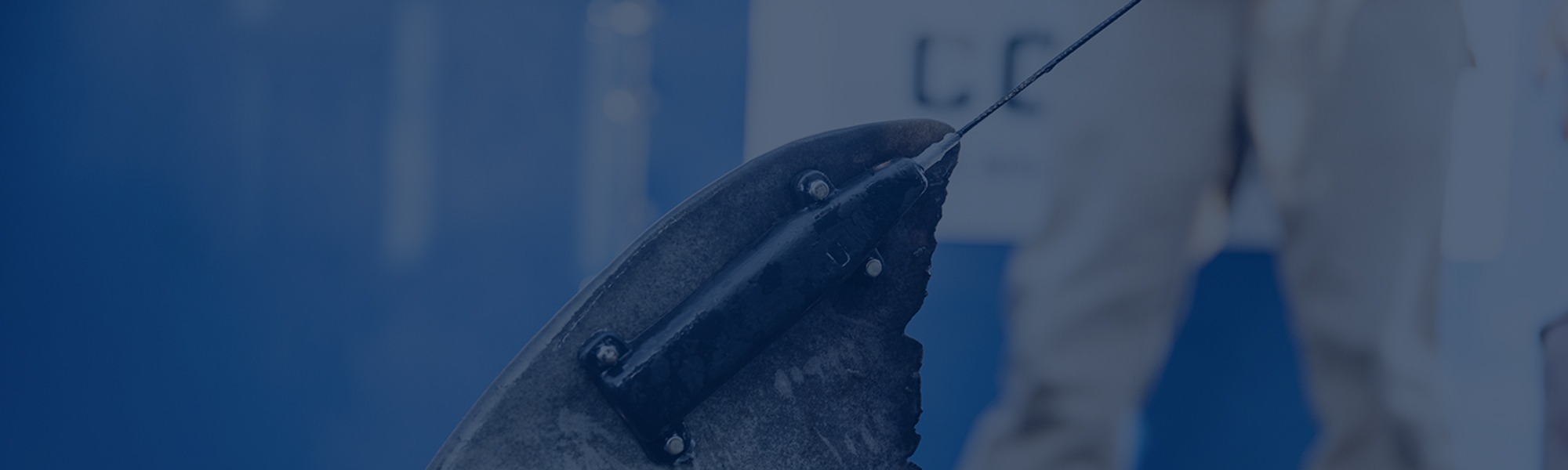 Understanding the ‘White Shark Puzzle’