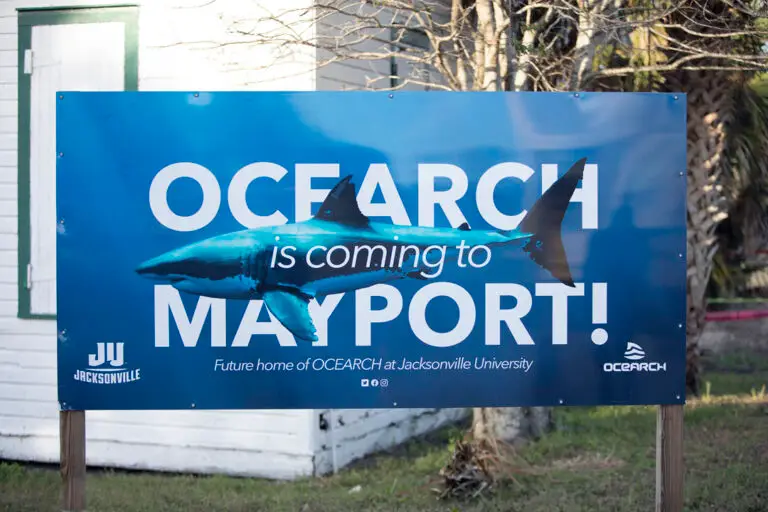 11272023_OCEARCH_ExpeditionSoutheast2023_ChrisRoss_G6A2599